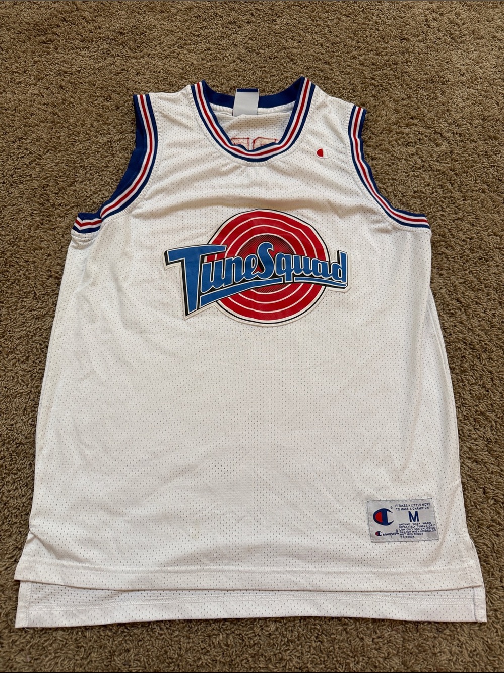 Champion Tune Squad Michael Jordan #23 Medium Jersey from Space Jam Movie